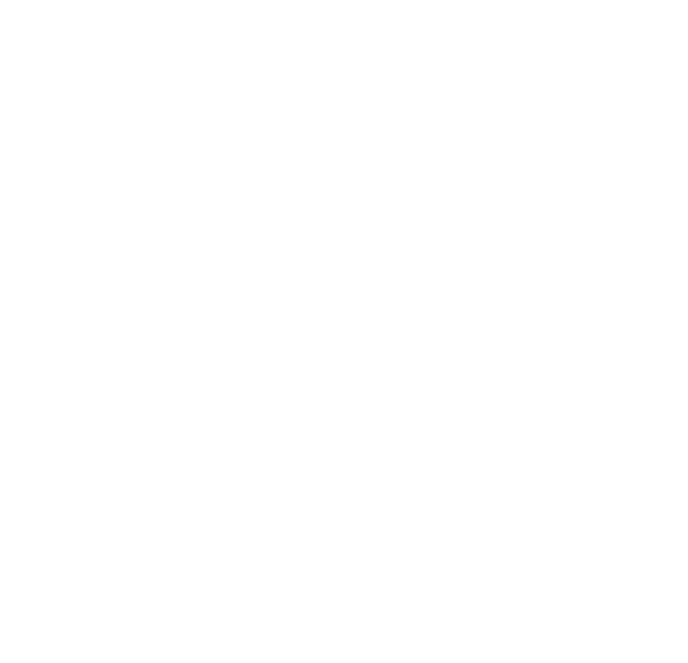 Scout & Cellar Company Logo