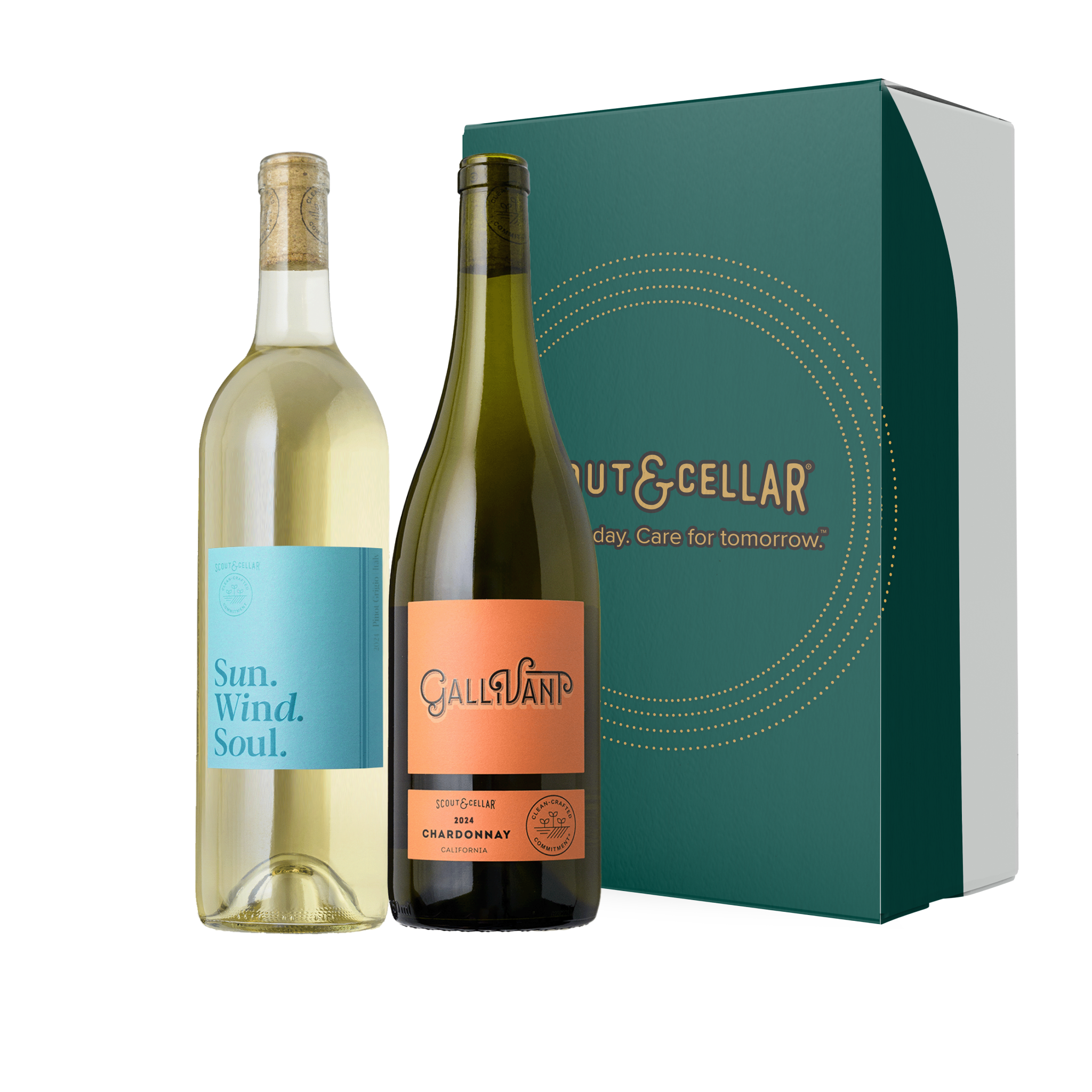 Script Cellars Wine Scout & Cellar White Wines | Clean, Bright, Delicious