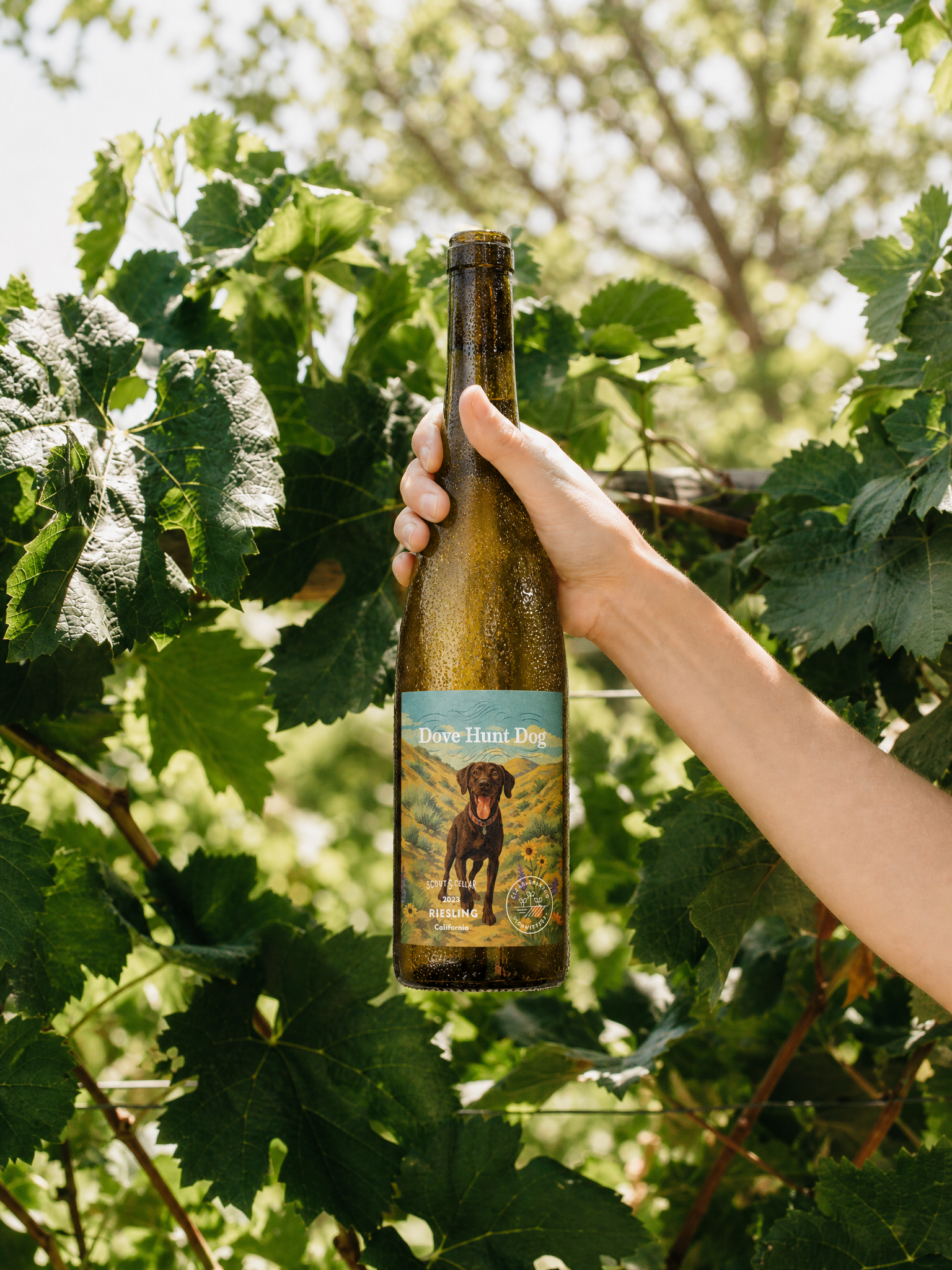 2021 Nest 'Momtazi Vineyard' Pinot Noir, Willamette Valley, Oregon