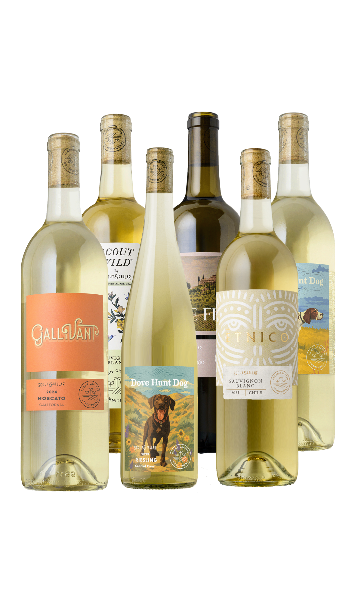 The Clean-Crafted™ Essentials Set - 6-Bottle - White.png