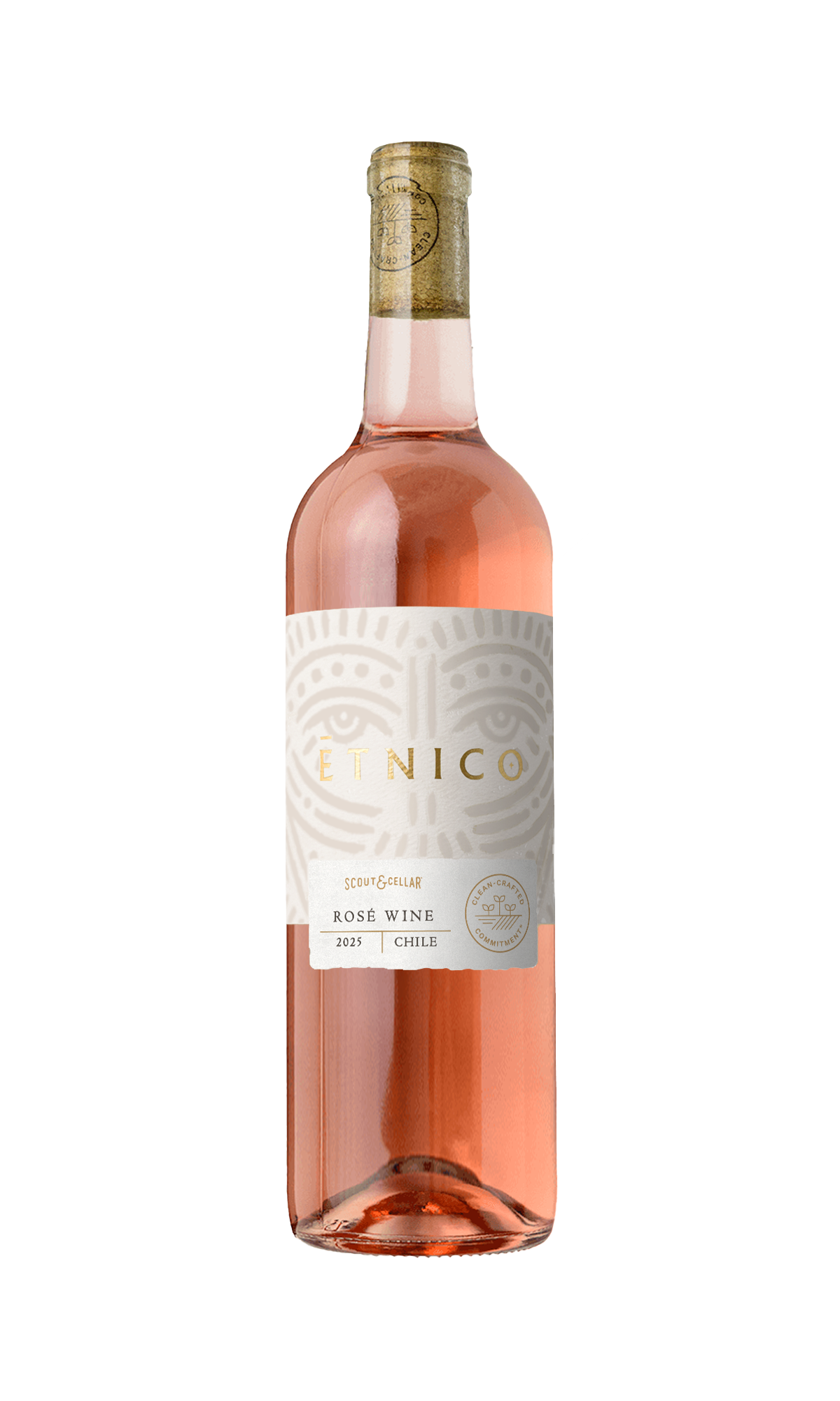 2024 TheoLeo Sauvignon Blanc, Lake County – Scout & Cellar