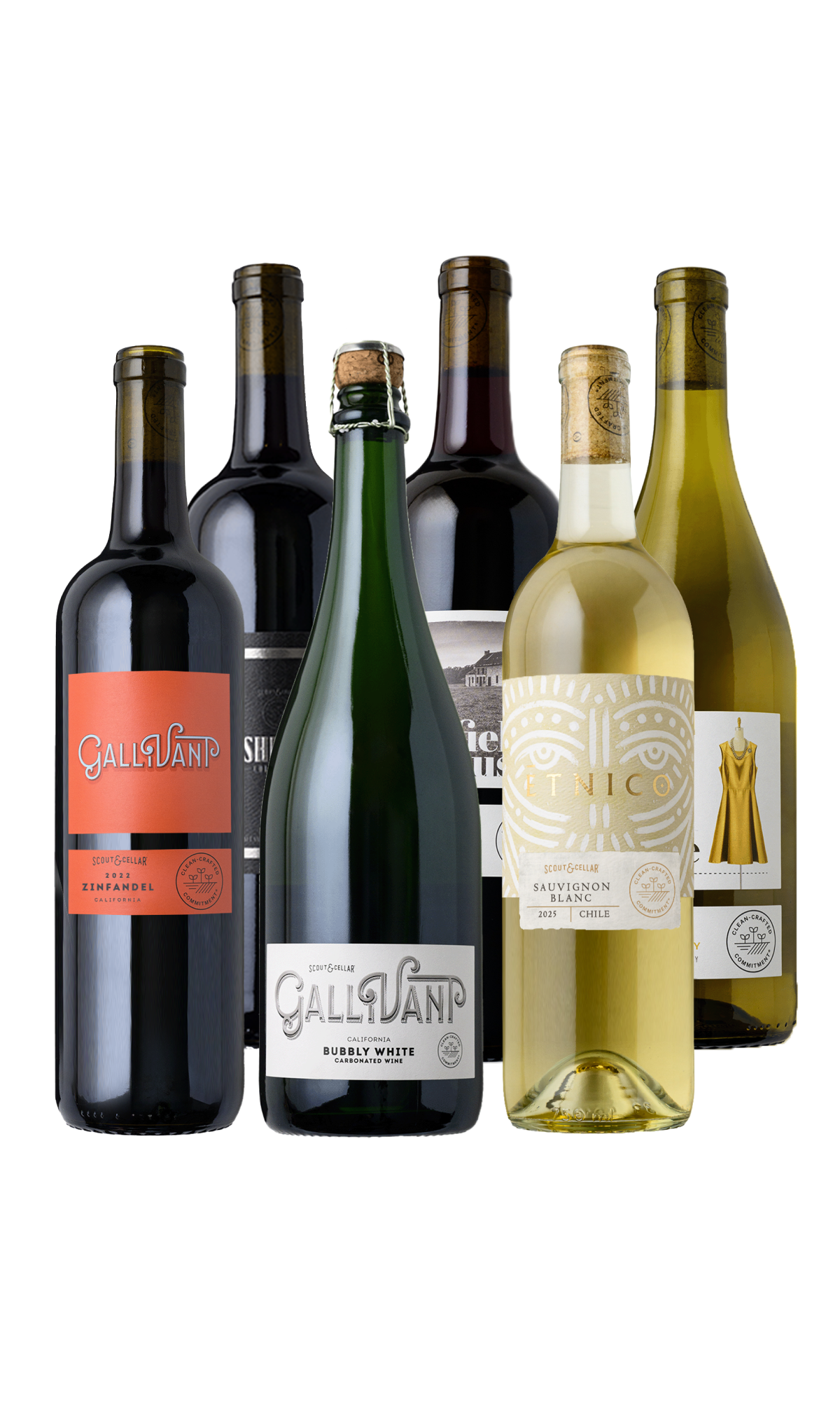 Scout & Cellar Favorites Set