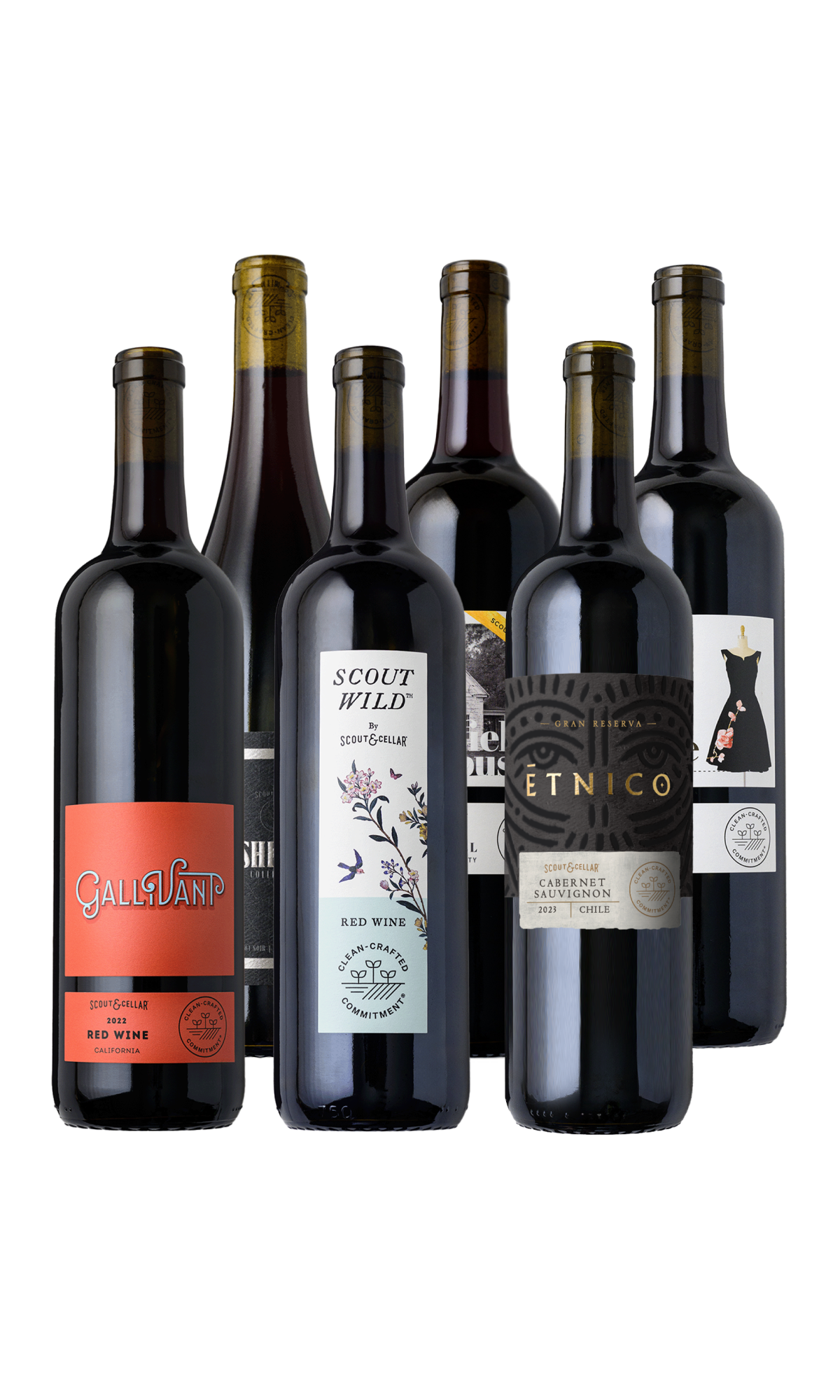 Scout & Cellar Favorites Set