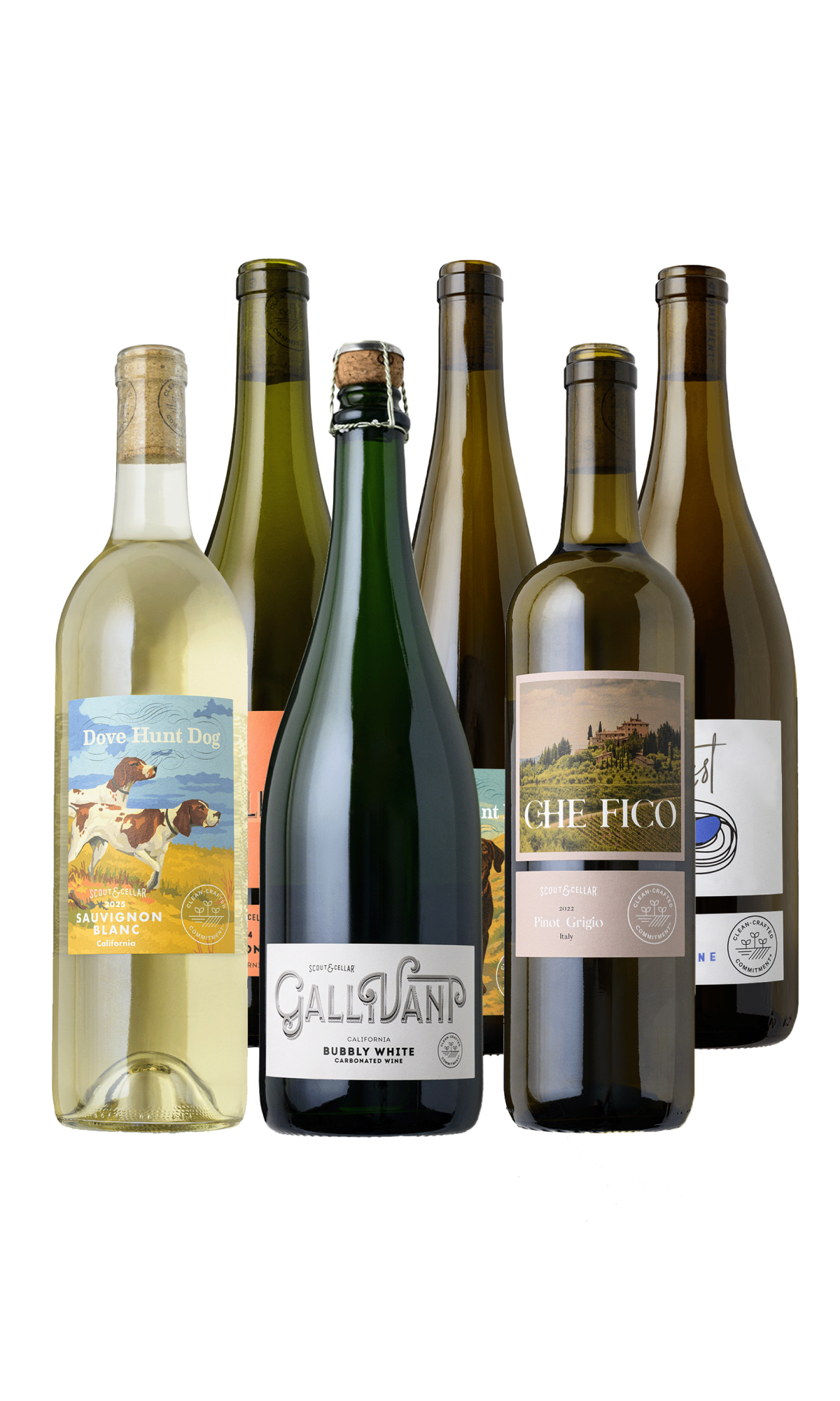 Scout & Cellar Favorites Set